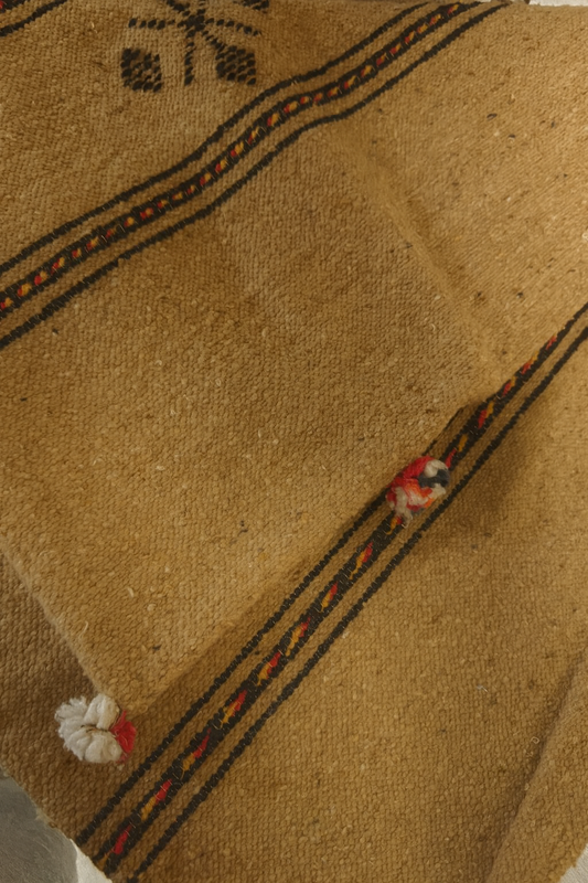 Coussin artisanal – 100% coton